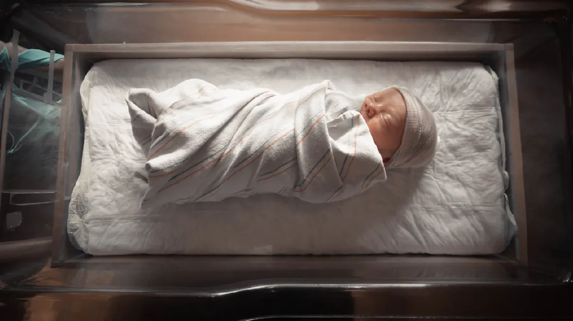 Baby-stem-cells