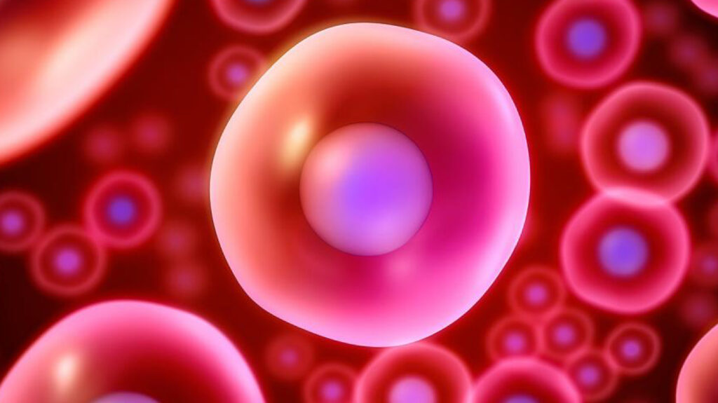 regenerative medicine