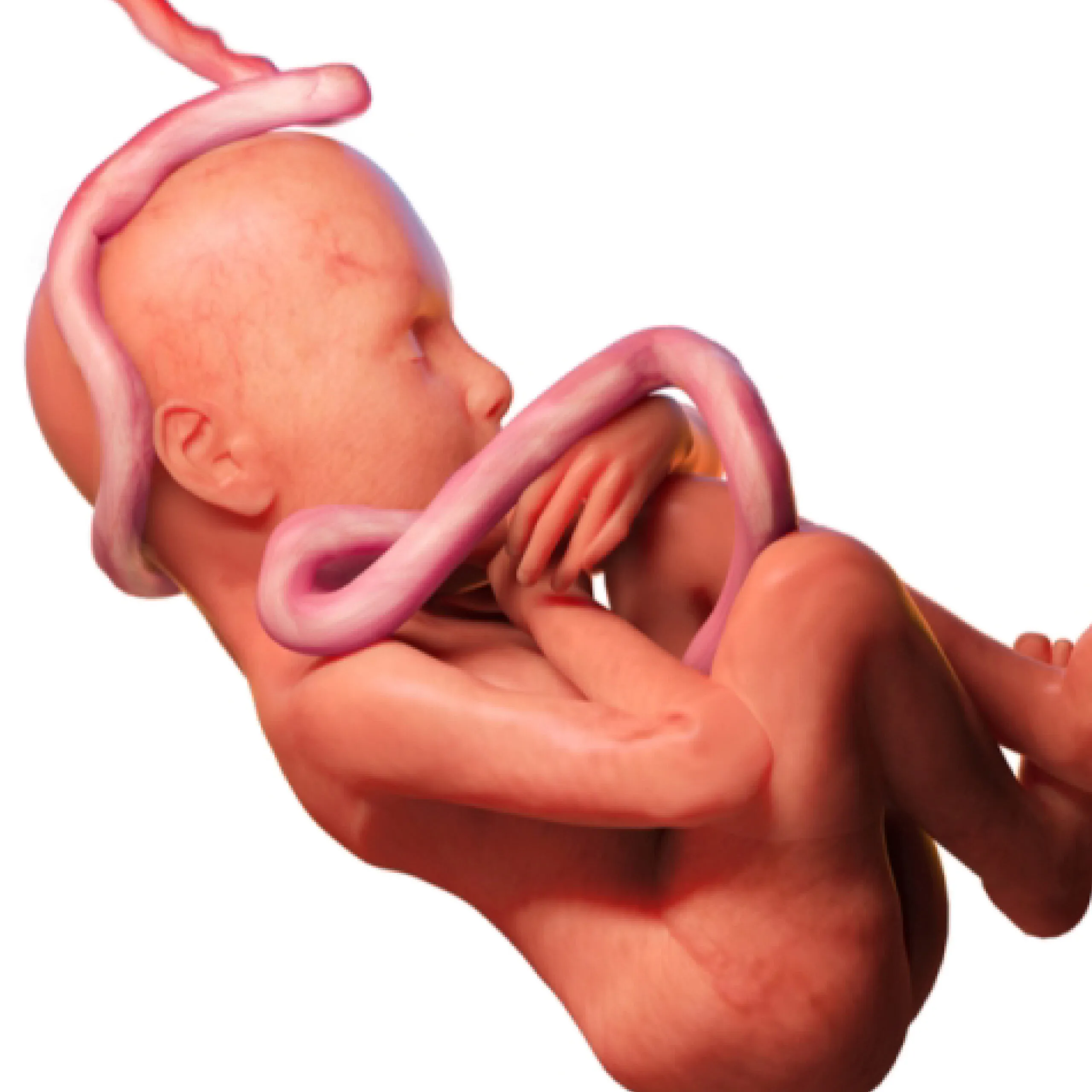 BAN 3_Saving Placenta for Stem Cells- A Breakthrough in Regenerative Medicine-16