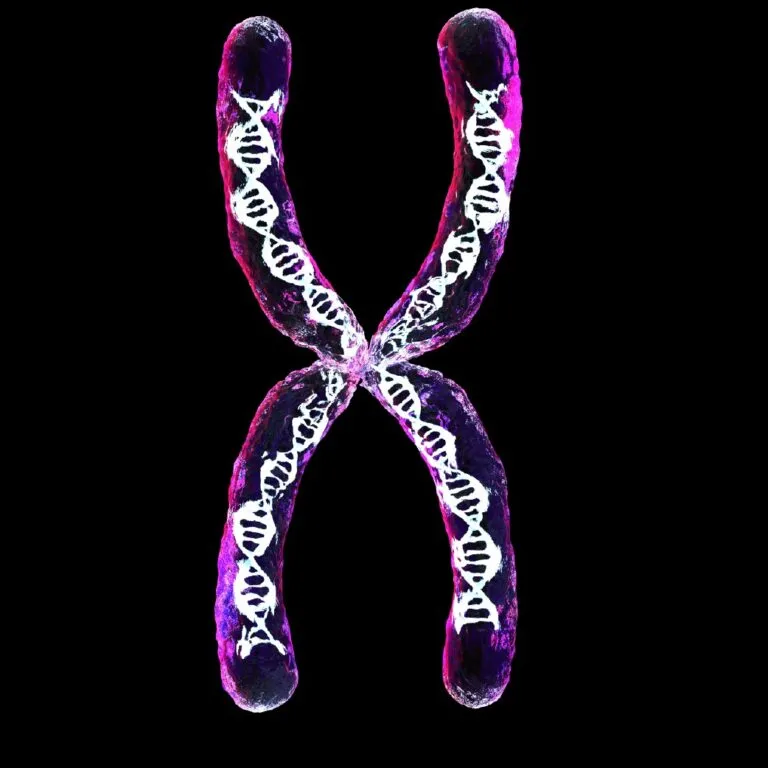 The Best Explanation about baby cord blood