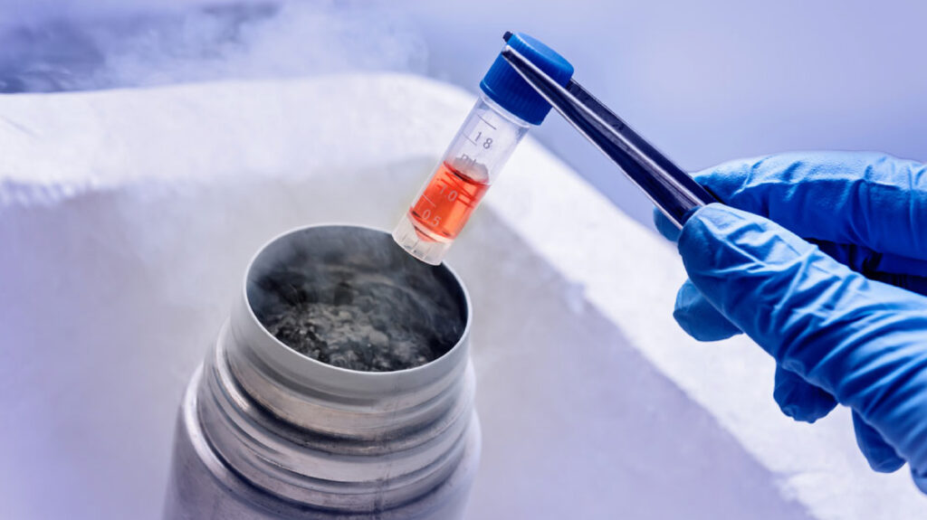 newborn baby stem cell storage